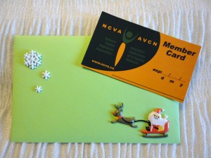 Christmas Membership Special