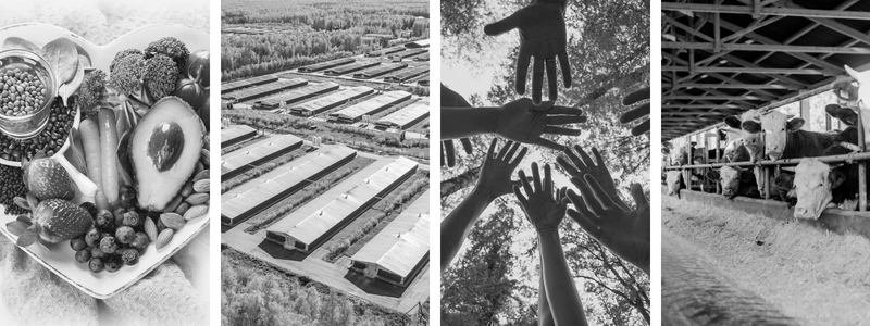 Get To Know&nbsp;VegOttawa!